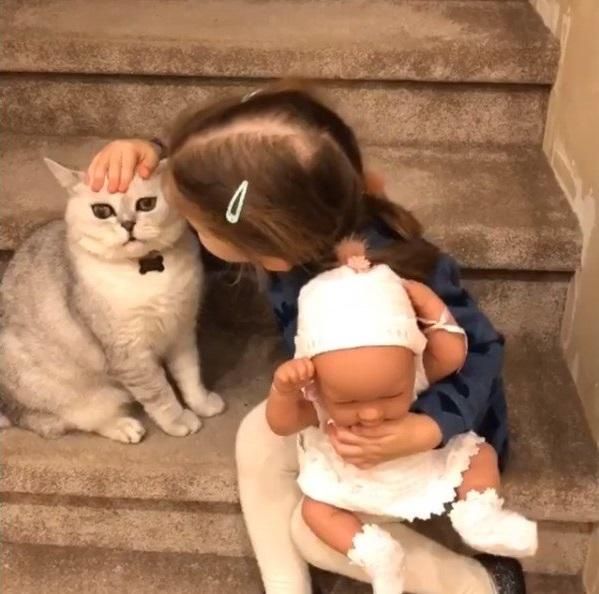 Ксения Бородина рассказала, почему кот Шанти больше не живёт в её доме