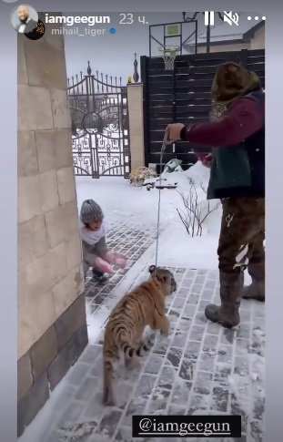 Рэпер Джиган привёз детям трёхмесячного тигра