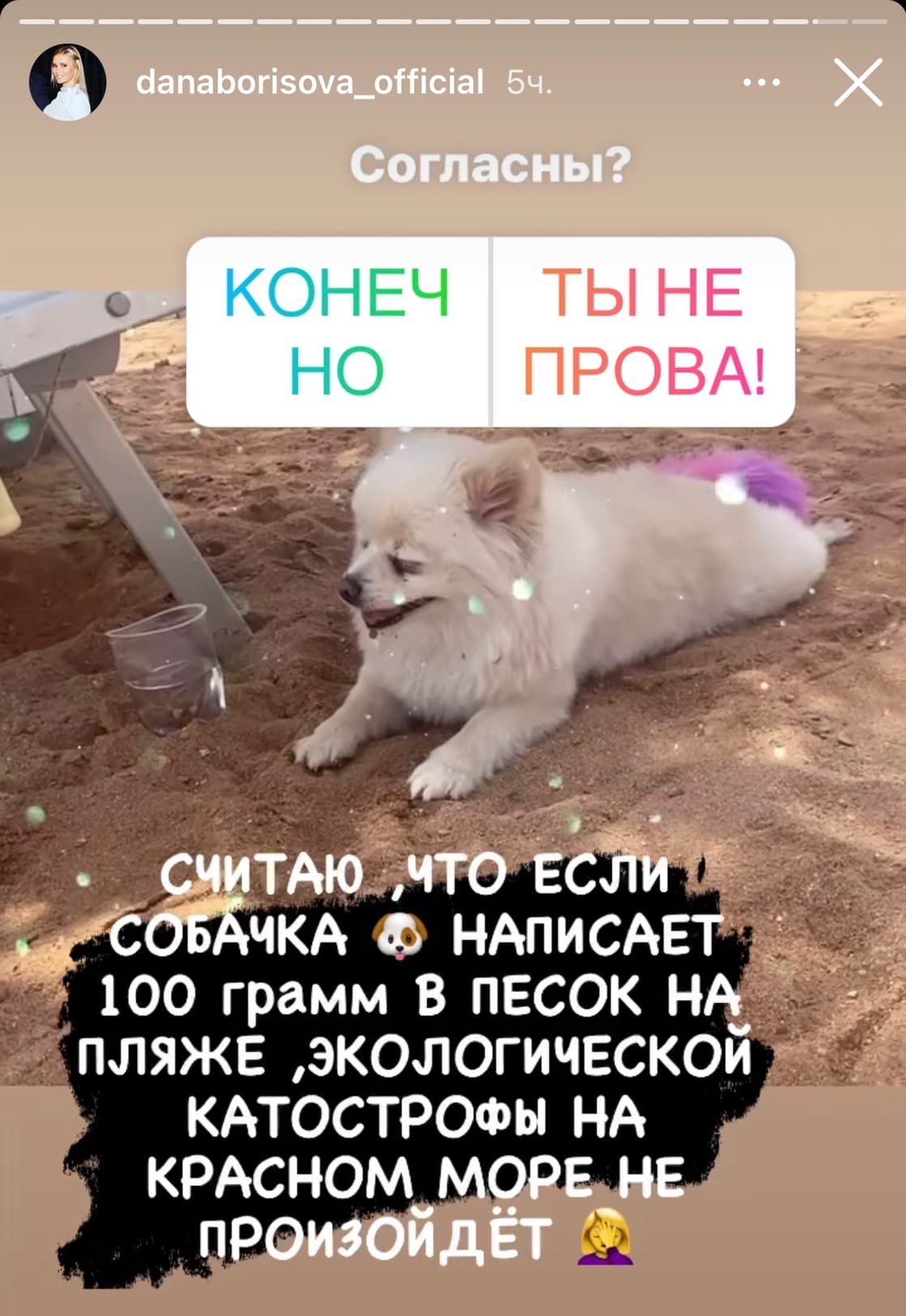 Дана Борисова не захотела отправляться на отдых без своей собаки