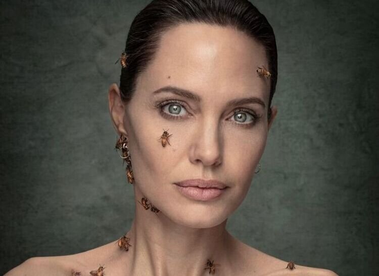 Анджелина Джоли снялась с пчёлами без какой-либо защиты