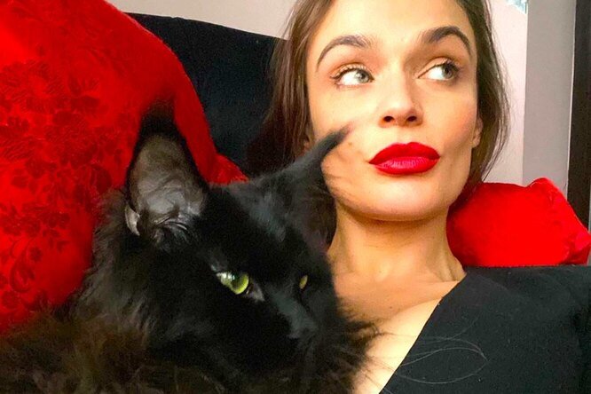 Алена Водонаева сообщила, что купит квартиру своему коту