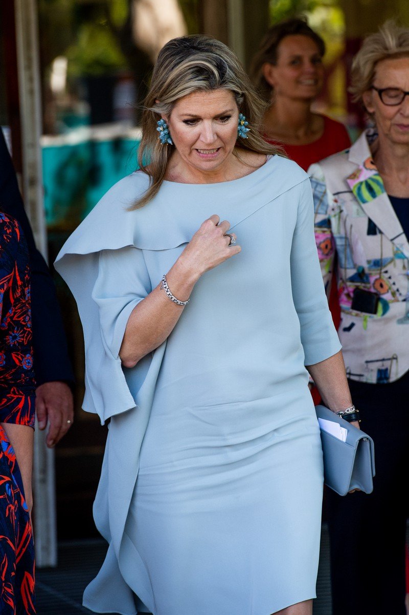 Королева Ма́ксима приехала на симпозиум в Гаагу в мятом платье