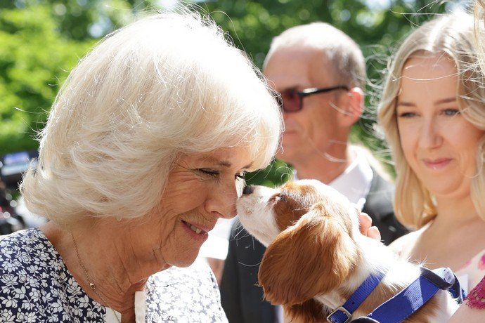 Герцогиня Корнуольская посетила благотворительный прием дома Battersea в Лондоне