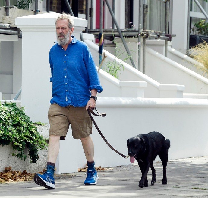 Знаменитый «доктор Хаус» Хью Лори выглядел неопрятно и запущенно, прогуливаясь со своей собакой по Лондону