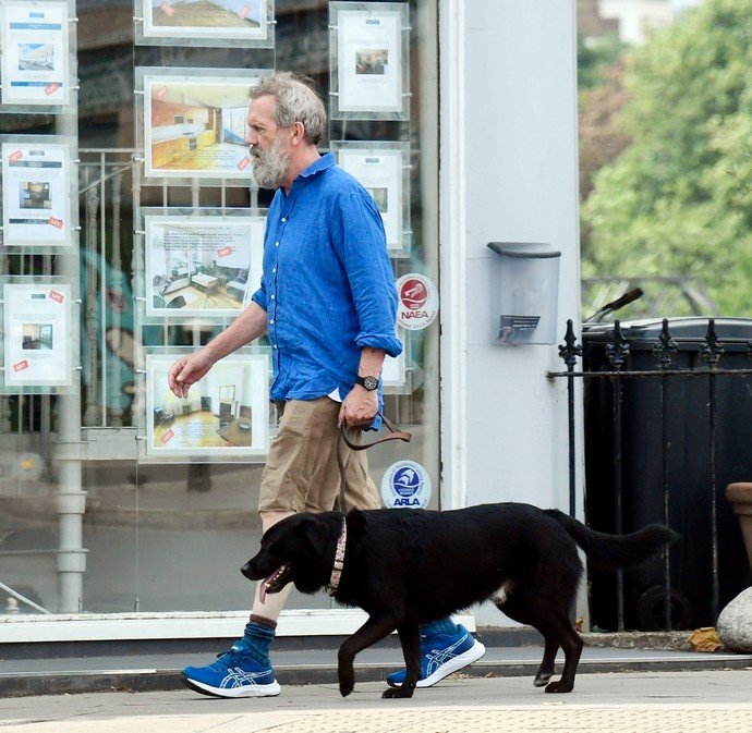 Знаменитый «доктор Хаус» Хью Лори выглядел неопрятно и запущенно, прогуливаясь со своей собакой по Лондону