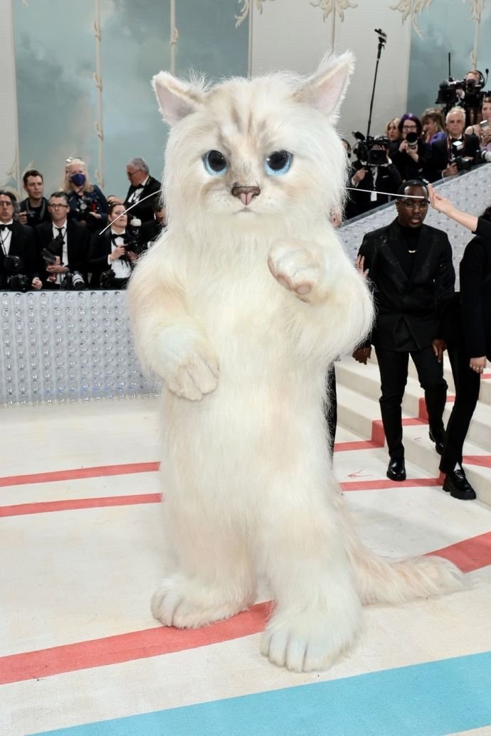 Ким Кардашьян, облепленная жемчугом, Джаред Лето в костюме кошки, Пенелопа Крус в образе "странной невесты" и другие на Met Gala 2023. Топ худших образов с дорожки