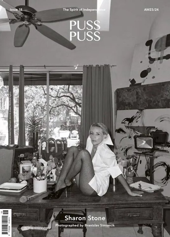 Шэрон Стоун снялась в пикантном образе для обложки модного журнала