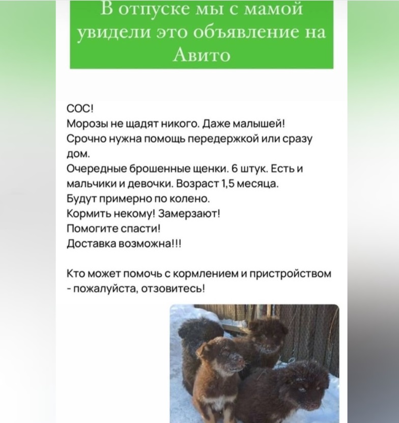 Оксана Самойлова подарила маме огромного щенка из приюта