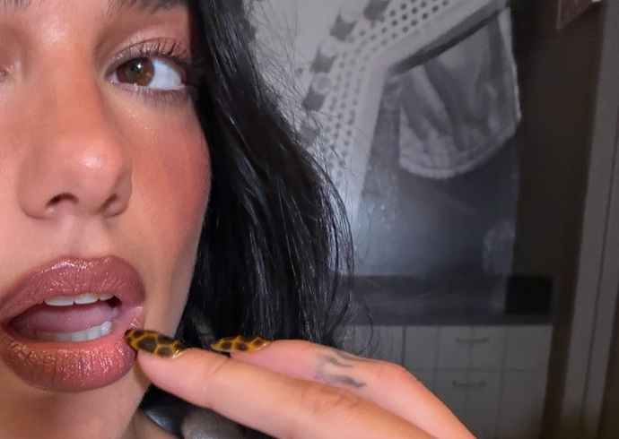 Дуа Липа похвасталась новым маникюром и показала, как «никогда не развлекается»