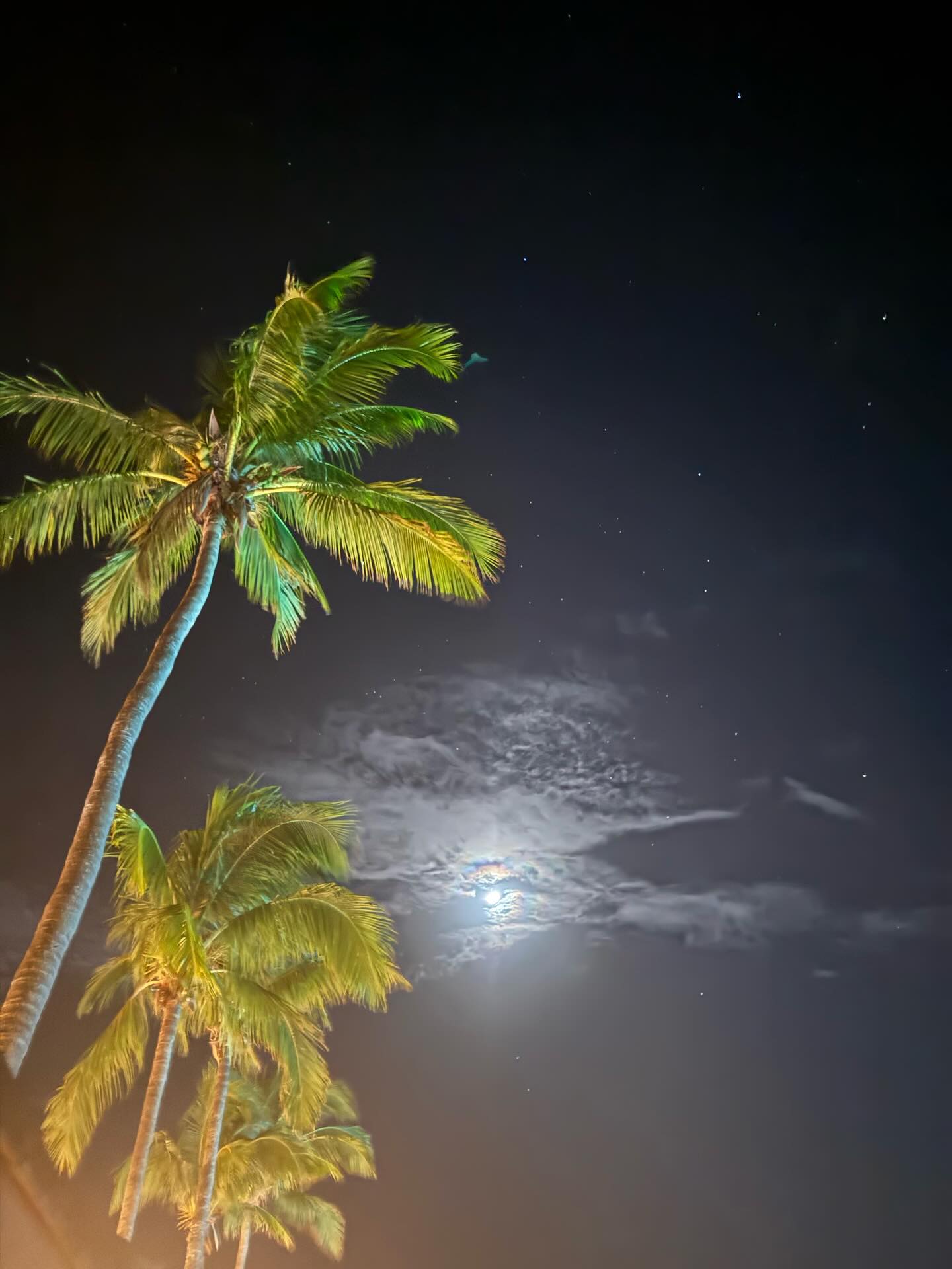 Солнце, йога и «перчинка»: Ирина Шейк поделилась фотографиями с отдыха