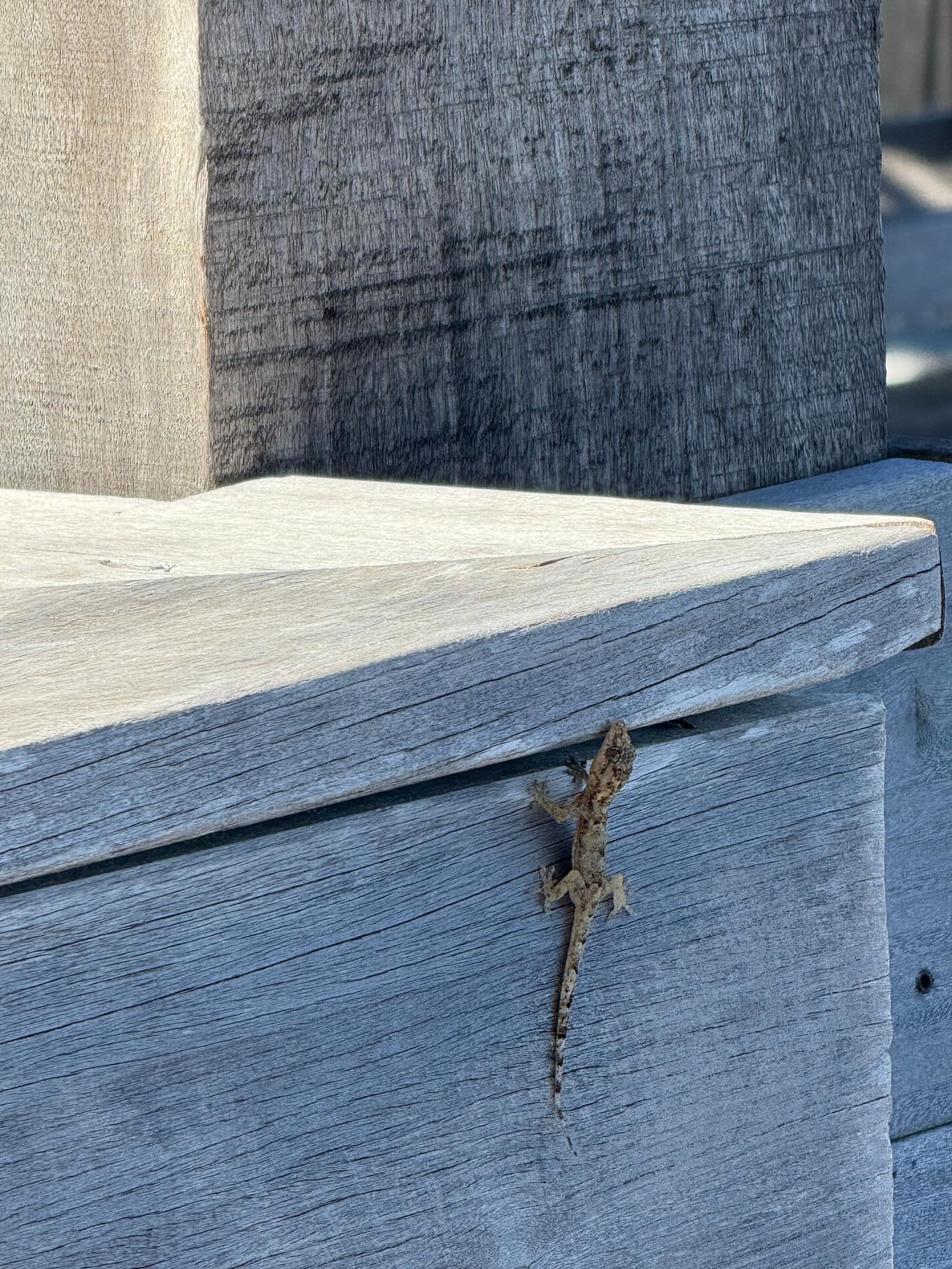 Солнце, йога и «перчинка»: Ирина Шейк поделилась фотографиями с отдыха